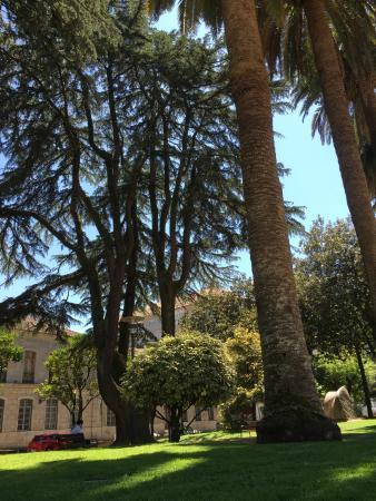 Parque de las Palmeras